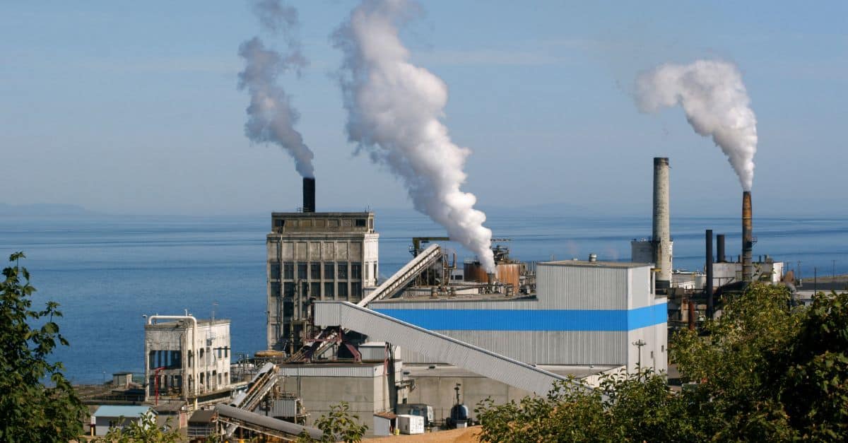Embracing Sustainability The Key to Success in the Pulp and Paper